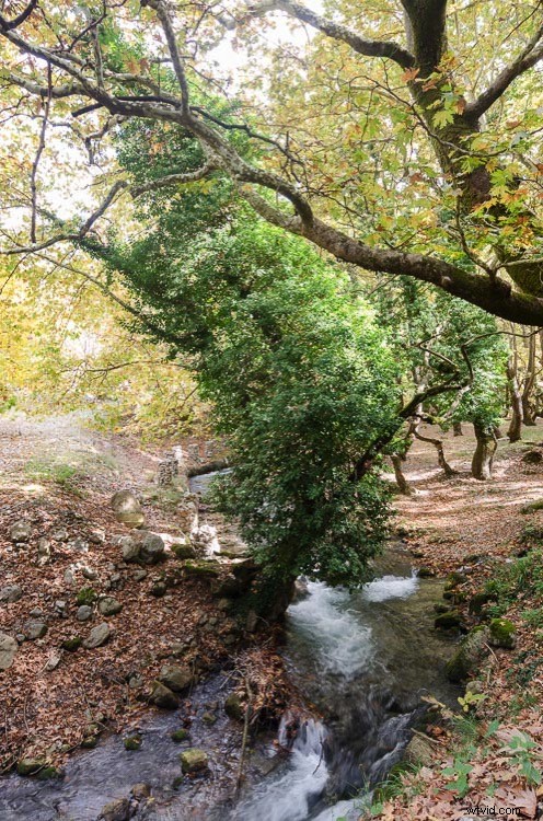 Nikon D750 vs D7100 vs D5100: In-Depth DSLR Comparison for Every Budget