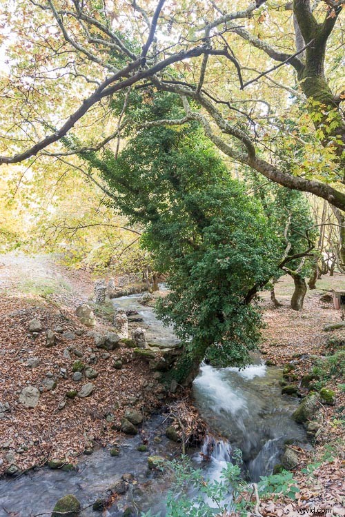 Nikon D750 vs D7100 vs D5100: In-Depth DSLR Comparison for Every Budget