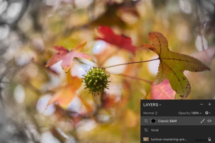 Master One-Click Presets in Luminar: Create, Edit & Share Like a Pro