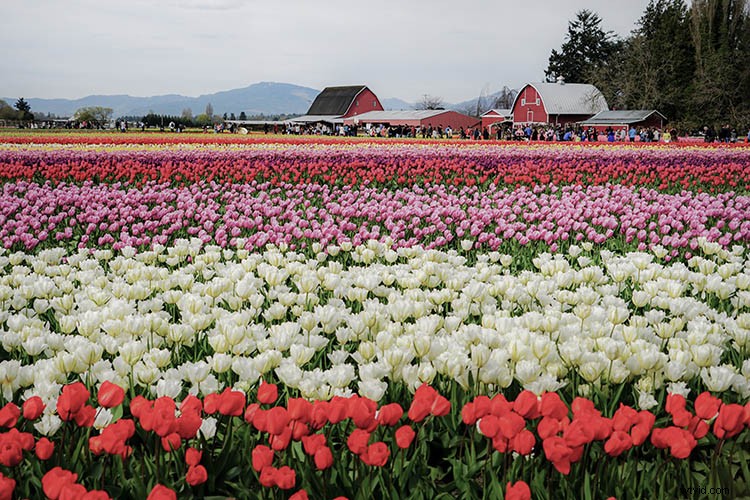 4 Expert Tips for Creative HDR Styling in Aurora HDR 2018