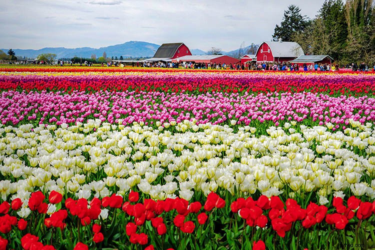 4 Expert Tips for Creative HDR Styling in Aurora HDR 2018