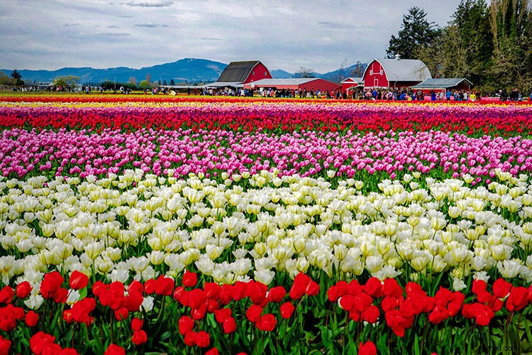 4 Expert Tips for Creative HDR Styling in Aurora HDR 2018