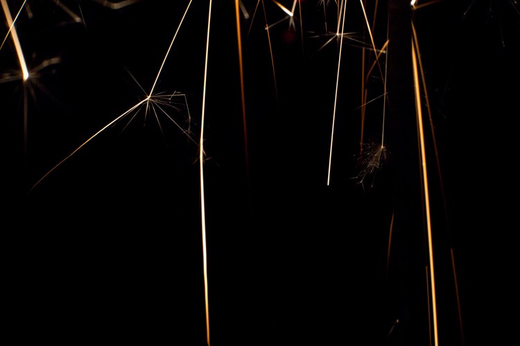 Master Impressionistic Fireworks Photography: Techniques for Stunning Artistic Images