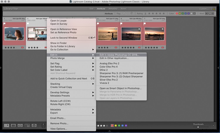 Photoshop for Beginners: How to Start Photo Editing and Know What to Do