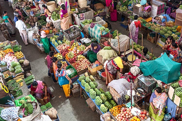 Master Camera Metering Modes: The Ultimate Beginner s Guide