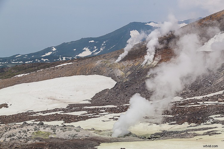 Master Camera Metering Modes: The Ultimate Beginner s Guide