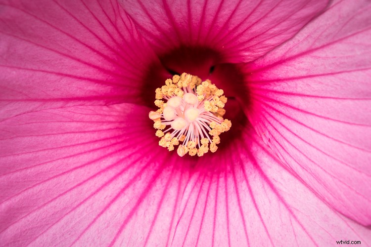 Tamron 18-400mm f/3.5-6.3 Di II VC HLD Review: Ultimate All-in-One Superzoom Lens