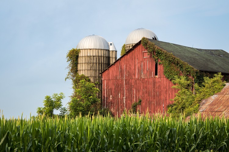 Tamron 18-400mm f/3.5-6.3 Di II VC HLD Review: Ultimate All-in-One Superzoom Lens