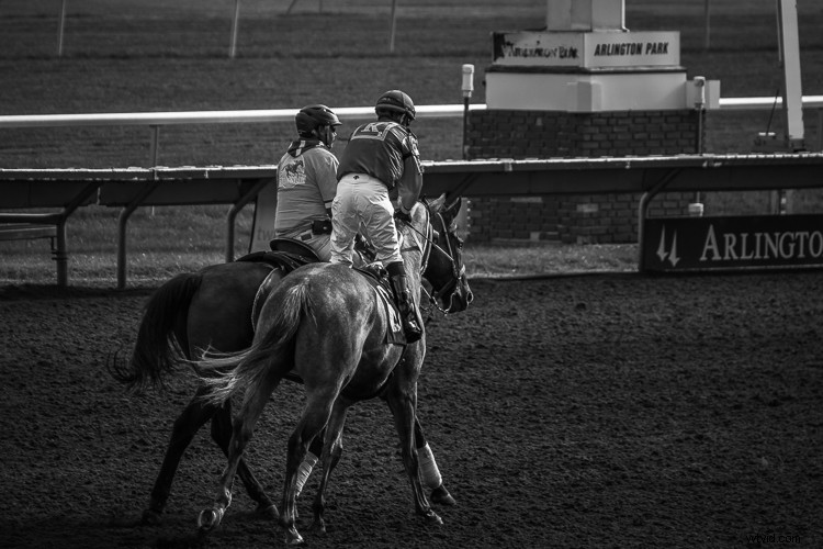 Tamron 18-400mm f/3.5-6.3 Di II VC HLD Review: Ultimate All-in-One Superzoom Lens