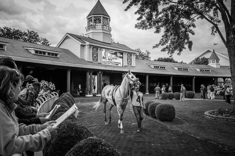 Tamron 18-400mm f/3.5-6.3 Di II VC HLD Review: Ultimate All-in-One Superzoom Lens