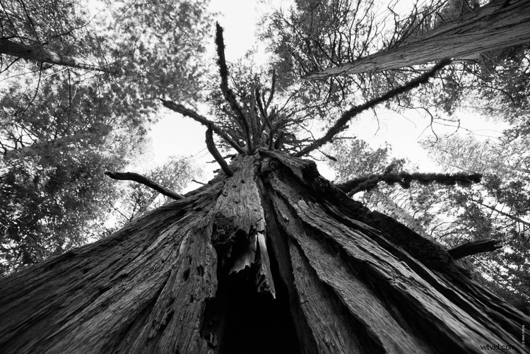 Creative Photography: Pro Tips for Stunning Shots in High-Traffic Spots