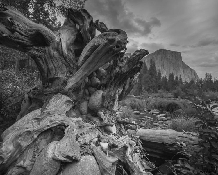 Creative Photography: Pro Tips for Stunning Shots in High-Traffic Spots