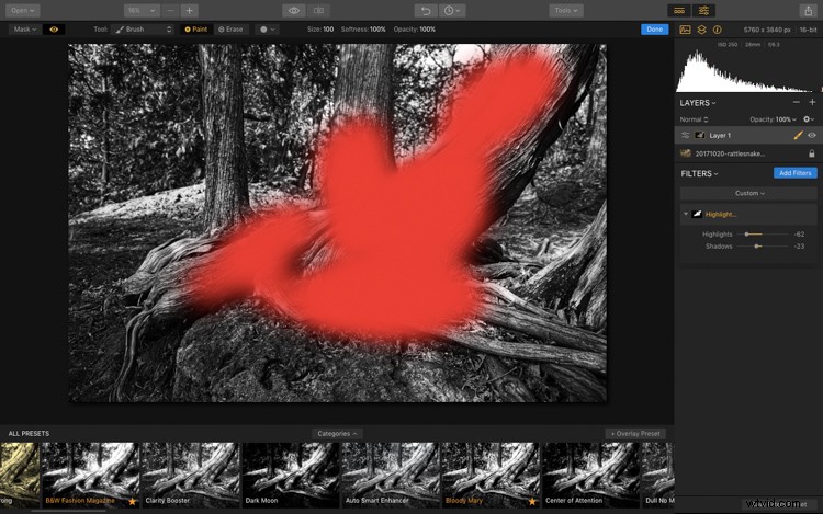 Luminar: The Ultimate Powerhouse for Professional Fine Art Black & White Conversions