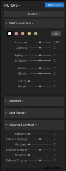 Luminar: The Ultimate Powerhouse for Professional Fine Art Black & White Conversions
