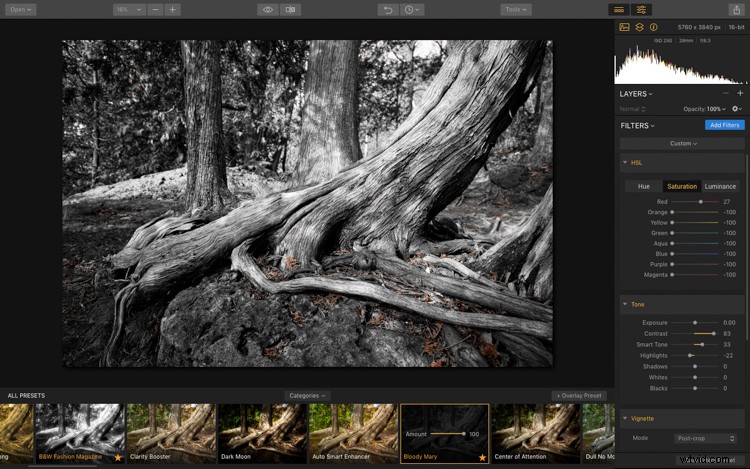 Luminar: The Ultimate Powerhouse for Professional Fine Art Black & White Conversions