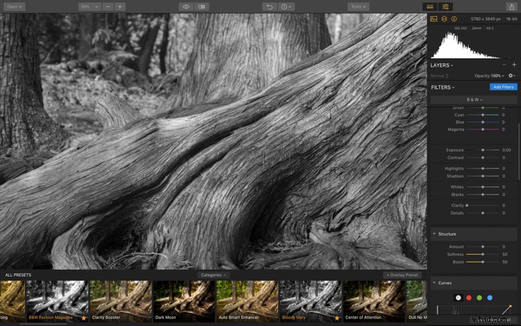 Luminar: The Ultimate Powerhouse for Professional Fine Art Black & White Conversions