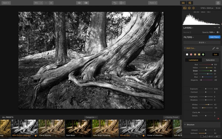 Luminar: The Ultimate Powerhouse for Professional Fine Art Black & White Conversions