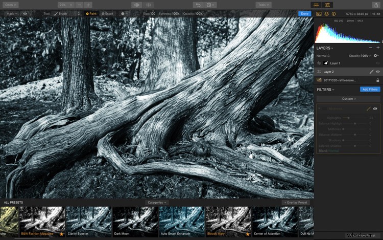 Luminar: The Ultimate Powerhouse for Professional Fine Art Black & White Conversions