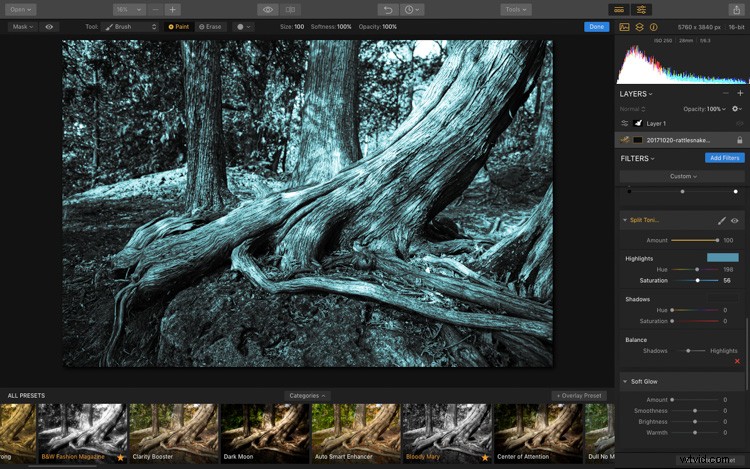 Luminar: The Ultimate Powerhouse for Professional Fine Art Black & White Conversions
