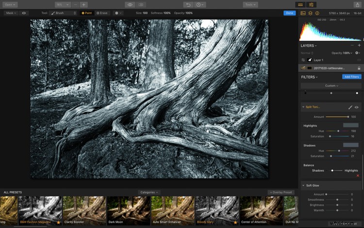 Luminar: The Ultimate Powerhouse for Professional Fine Art Black & White Conversions