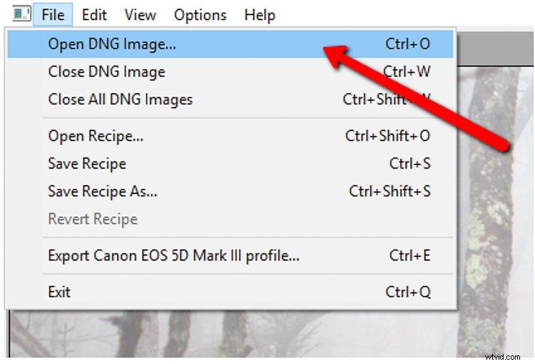 Master Custom Camera Profiles: Step-by-Step Guide to Adobe DNG Profile Editor