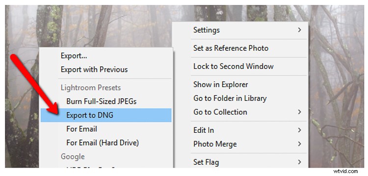 Master Custom Camera Profiles: Step-by-Step Guide to Adobe DNG Profile Editor