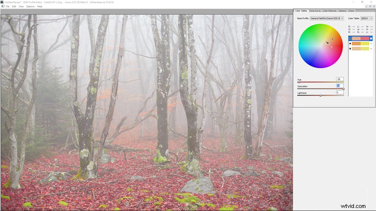 Master Custom Camera Profiles: Step-by-Step Guide to Adobe DNG Profile Editor