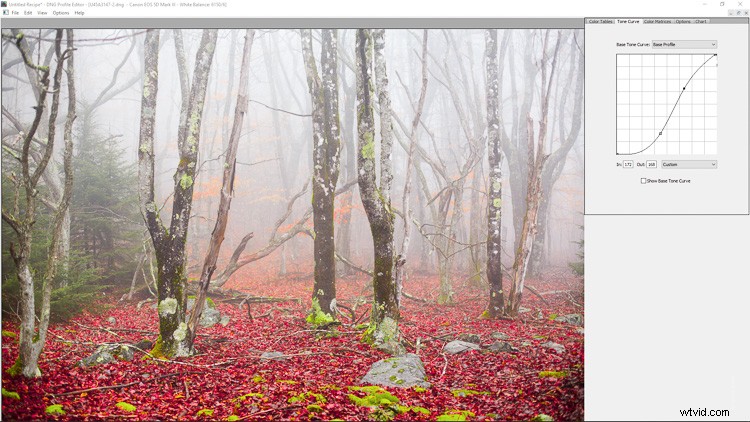 Master Custom Camera Profiles: Step-by-Step Guide to Adobe DNG Profile Editor