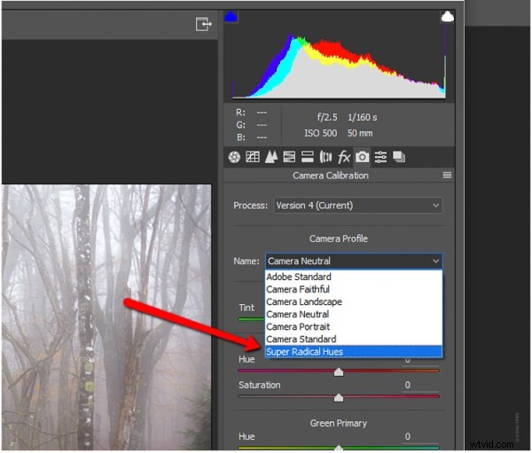 Master Custom Camera Profiles: Step-by-Step Guide to Adobe DNG Profile Editor