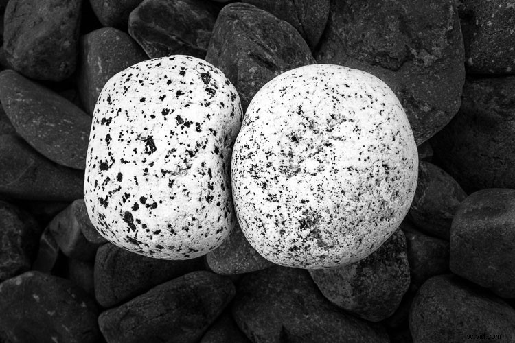 Master Dramatic Black & White Photography: Essential Composition Techniques