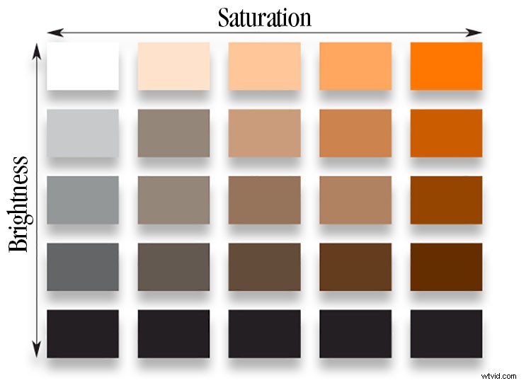 Master Image Tonality: Photography Science and Essential Technical Terms Explained