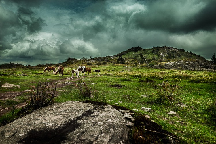 Master the Tilt-Shift Effect in Photoshop: Easy Step-by-Step Tutorial