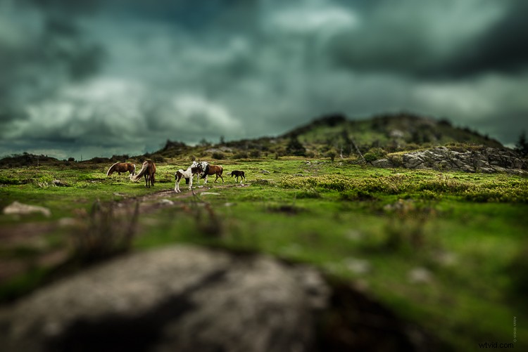 Master the Tilt-Shift Effect in Photoshop: Easy Step-by-Step Tutorial