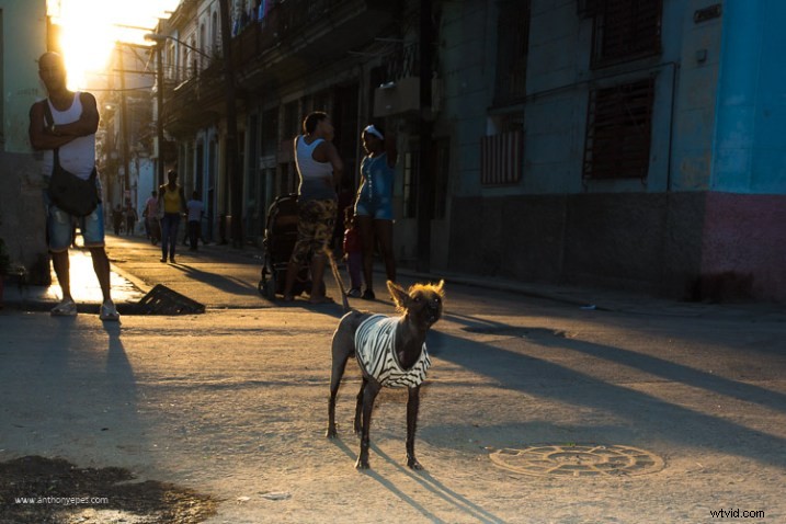 Master Manual Mode: Simple Guide to Transform Your Photos Like a Pro