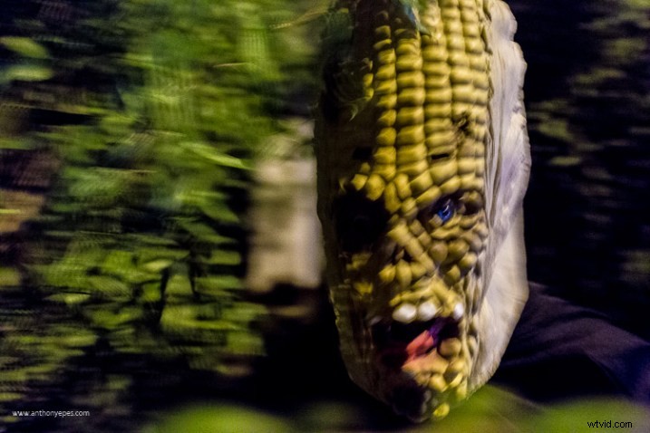 Master Manual Mode: Simple Guide to Transform Your Photos Like a Pro