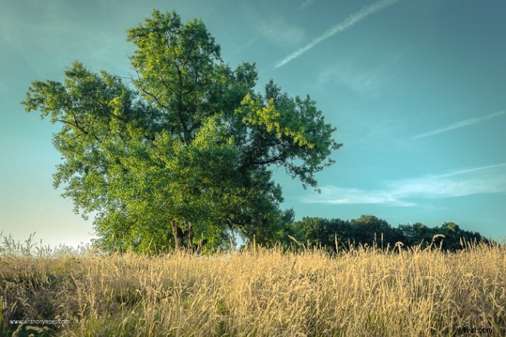 Master Manual Mode: Simple Guide to Transform Your Photos Like a Pro