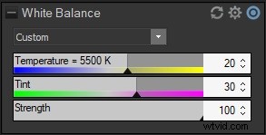 Master Black & White Photo Conversions in ACDSee Photo Studio Ultimate: Step-by-Step Guide