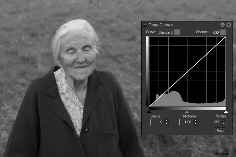 Master Black & White Photo Conversions in ACDSee Photo Studio Ultimate: Step-by-Step Guide