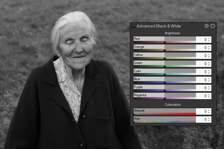 Master Black & White Photo Conversions in ACDSee Photo Studio Ultimate: Step-by-Step Guide