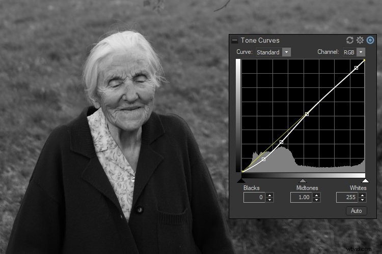 Master Black & White Photo Conversions in ACDSee Photo Studio Ultimate: Step-by-Step Guide