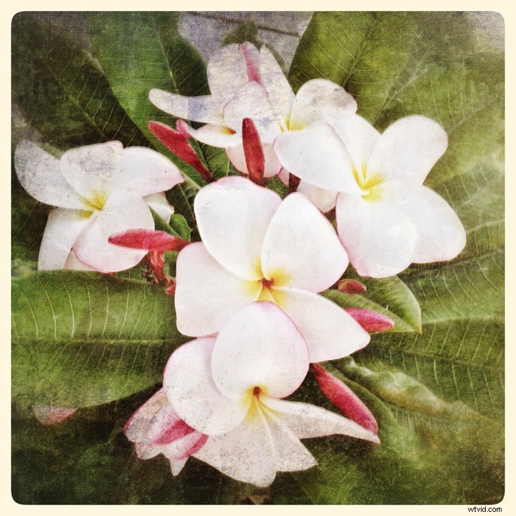 9 Must-Have Apps to Supercharge Your Android & iPhone