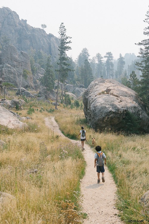 8 Expert Tips to Maximize Your Current Photography Gear Without Buying New