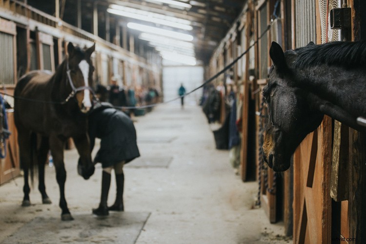 8 Expert Tips to Maximize Your Current Photography Gear Without Buying New