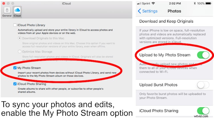 Apple Photos: The Underrated Powerhouse for Professional Photo Editing