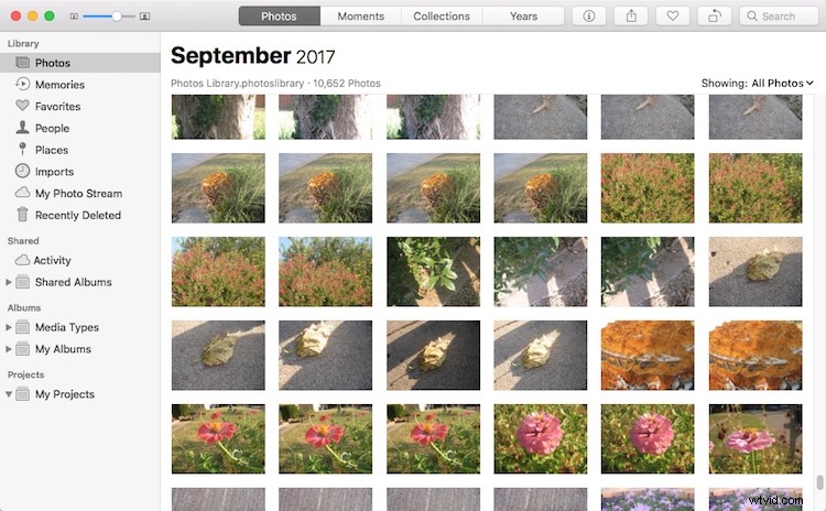 Apple Photos: The Underrated Powerhouse for Professional Photo Editing