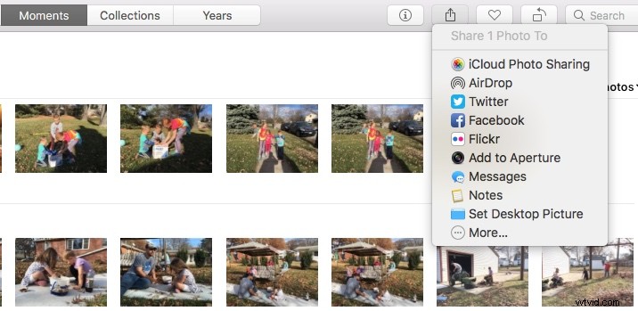 Apple Photos: The Underrated Powerhouse for Professional Photo Editing