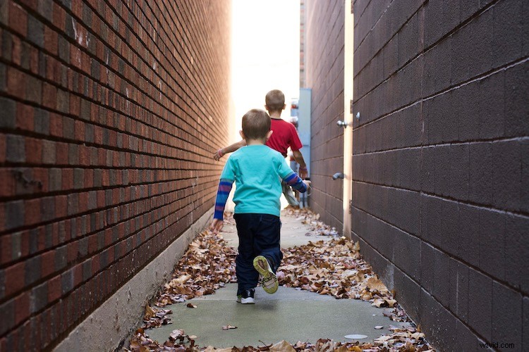 Apple Photos: The Underrated Powerhouse for Professional Photo Editing