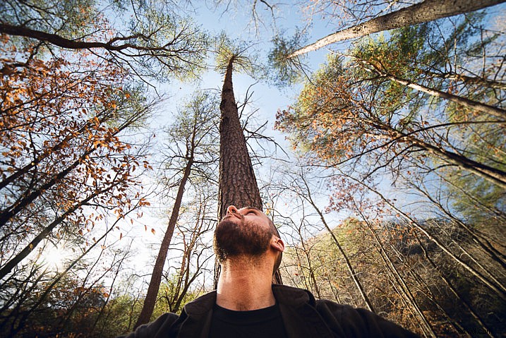 Why Diversification is Essential for Thriving Professional Photographers