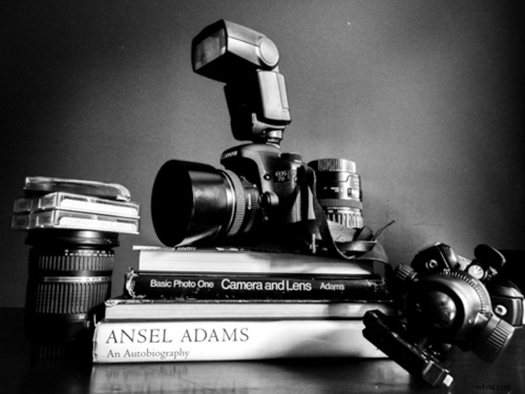 Why Diversification is Essential for Thriving Professional Photographers