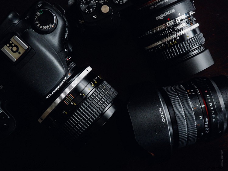 Why Diversification is Essential for Thriving Professional Photographers